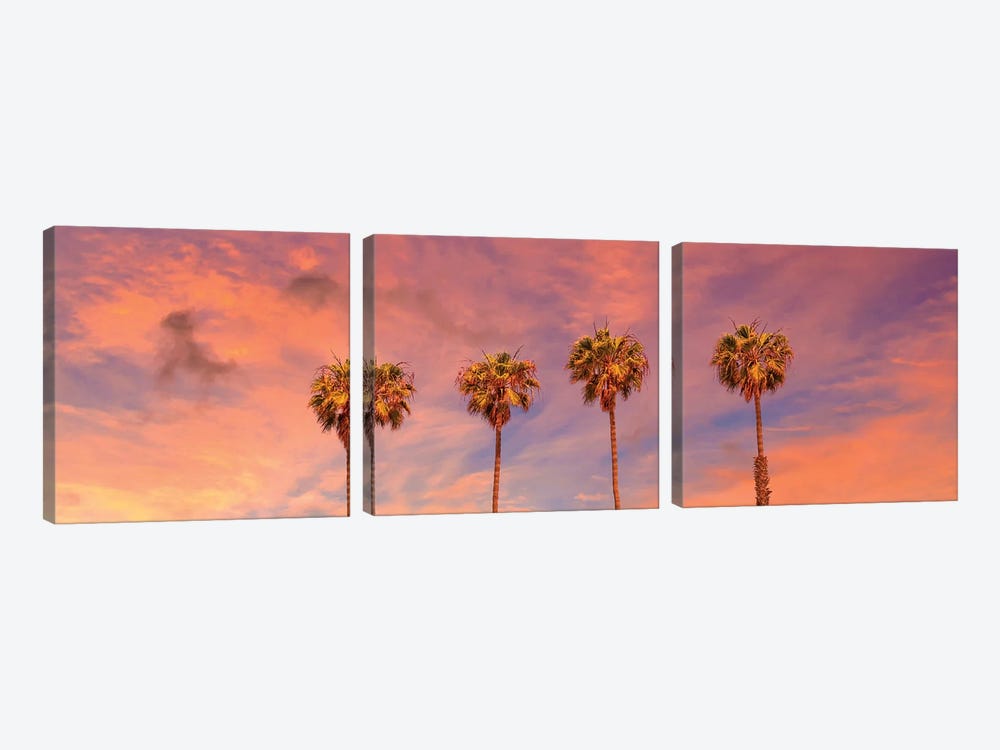Palm Trees Sunset | Panoramic View by Melanie Viola 3-piece Canvas Art