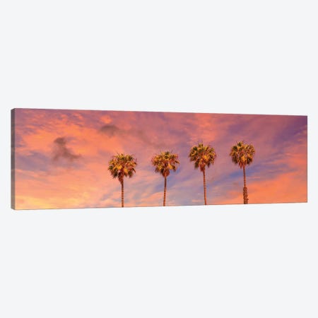 Palm Trees Sunset | Panoramic View Canvas Print #MEV414} by Melanie Viola Canvas Artwork