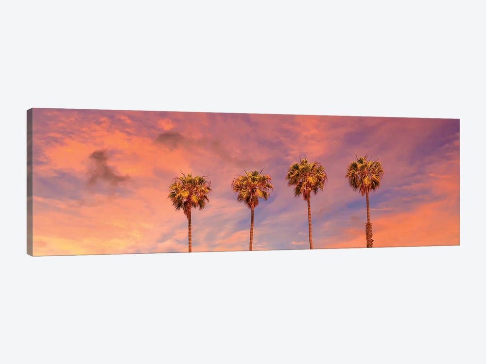 Palm Trees Sunset | Panoramic View by Melanie Viola 1-piece Canvas Artwork