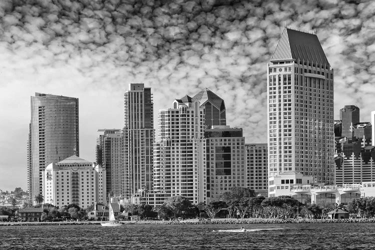 San Diego Monochrome Skyline