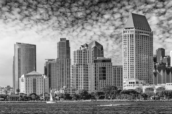 San Diego Skylines: San Diego Monochrome Skyline by Melanie Viola
