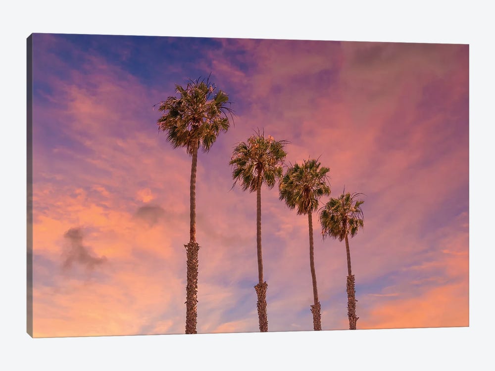 Palm Trees - Idyllic Sunset by Melanie Viola 1-piece Canvas Wall Art