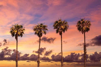 Palm Trees Sunset by Melanie Viola canvas print