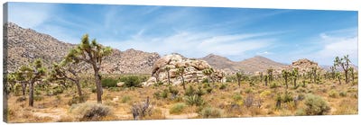 Scenic Panorama - Joshua Tree National Park Canvas Art Print - Desert Landscape Photography