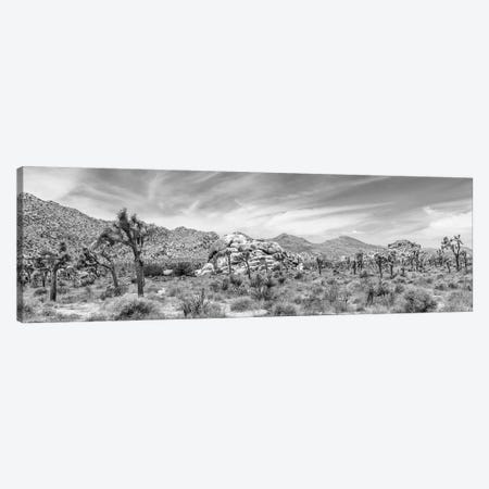 Scenic Monochrome Panorama - Joshua Tree National Park Canvas Print #MEV430} by Melanie Viola Art Print