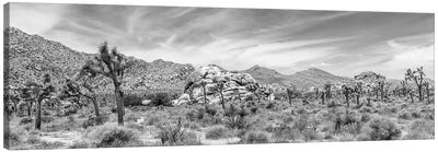 Scenic Monochrome Panorama - Joshua Tree National Park Canvas Art Print - Desert Landscape Photography