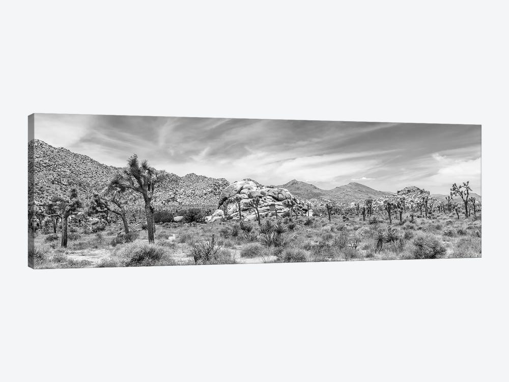 Scenic Monochrome Panorama - Joshua Tree National Park by Melanie Viola 1-piece Canvas Wall Art