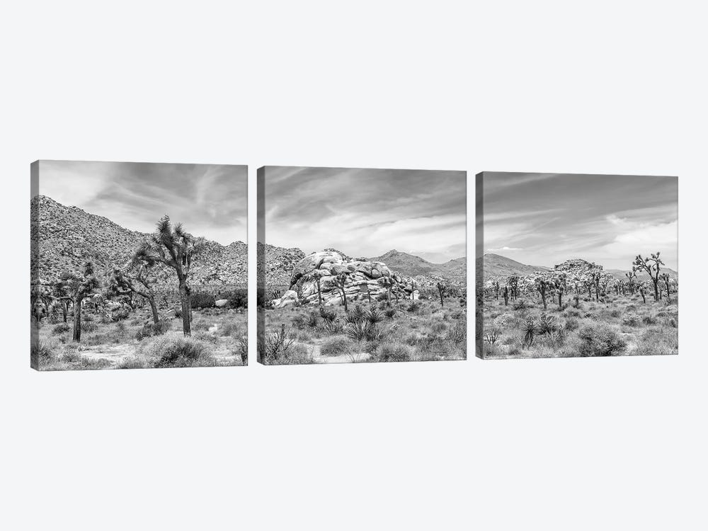 Scenic Monochrome Panorama - Joshua Tree National Park by Melanie Viola 3-piece Canvas Artwork