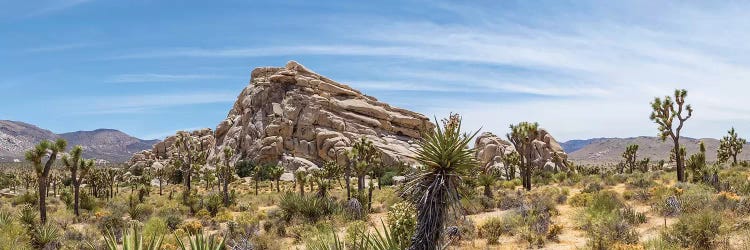 Monzogranite Formation - Joshua Tree National Park