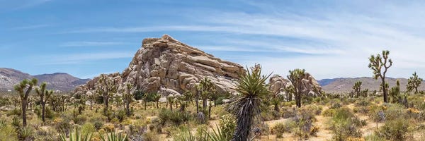 Joshua Tree National Park: Monzogranite Formation - Joshua Tree National Park by Melanie Viola