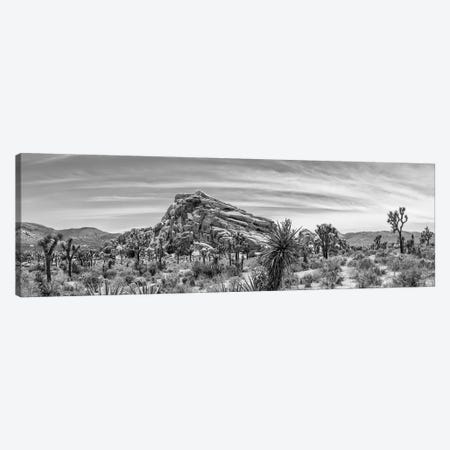 Monzogranite Formation - Monochrome Joshua Tree National Park Canvas Print #MEV433} by Melanie Viola Canvas Print