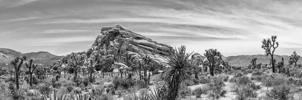 Joshua Tree National Park: Monzogranite Formation - Monochrome Joshua Tree National Park by Melanie Viola