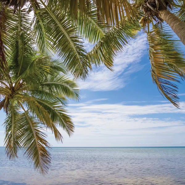 Florida Beaches: Gorgeous Oceanside by Melanie Viola