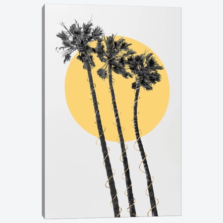 Palm Trees In The Sun Canvas Print #MEV474} by Melanie Viola Canvas Wall Art