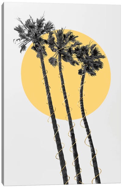 Palm Trees In The Sun Canvas Art Print - Black, White & Yellow Art