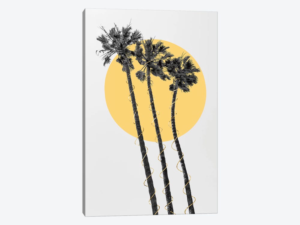 Palm Trees In The Sun by Melanie Viola 1-piece Canvas Artwork