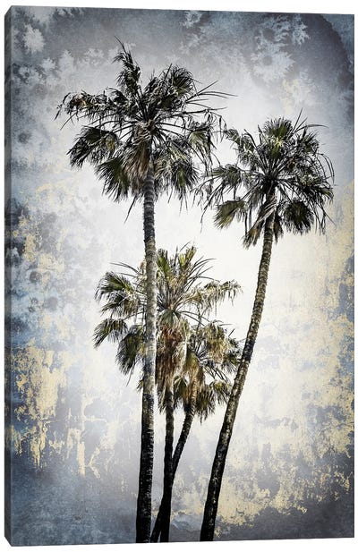 Modern Art Lovely Palm Trees Canvas Art Print - Melanie Viola
