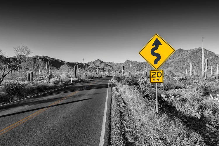 Saguaro National Park Bajada Loop Drive