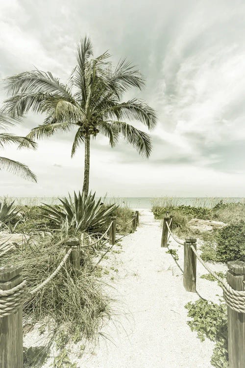 Path To The Beach | Vintage