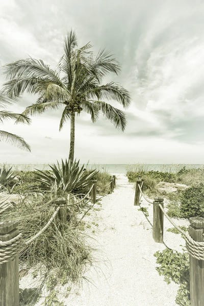 Florida: Path To The Beach | Vintage by Melanie Viola
