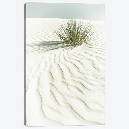 White Sands Idyllic Scenery | Vintage Canvas Print #MEV527} by Melanie Viola Canvas Artwork