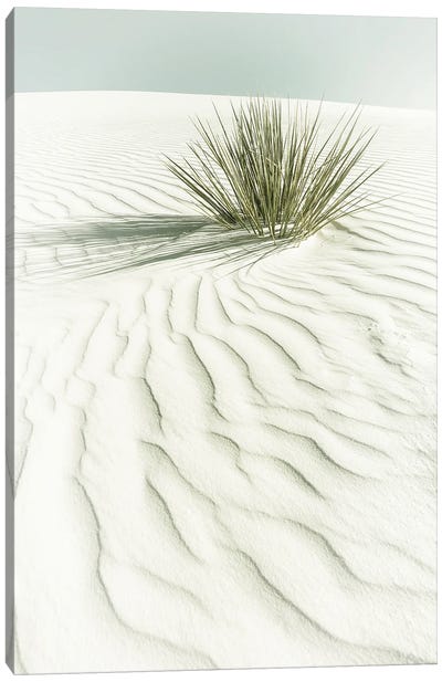 White Sands Idyllic Scenery | Vintage Canvas Art Print - Desert Landscape Photography