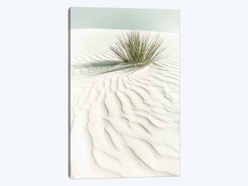 White Sands Idyllic Scenery | Vintage by Melanie Viola 1-piece Art Print