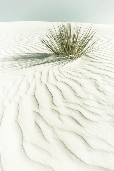 Coastal Sand Dunes: White Sands Idyllic Scenery | Vintage by Melanie Viola