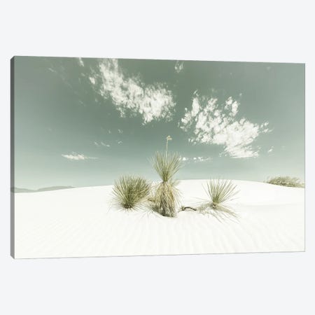 White Sands Vintage Canvas Print #MEV528} by Melanie Viola Canvas Print