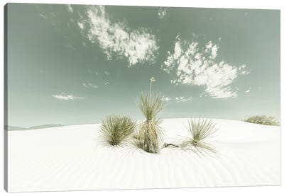 White Sands Vintage Canvas Art Print - New Mexico Art