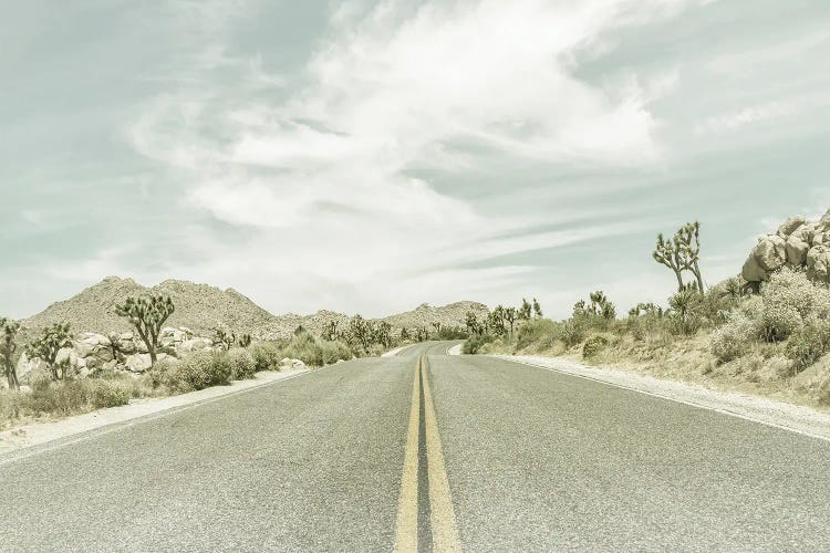 Vintage Joshua Trees And Country Road