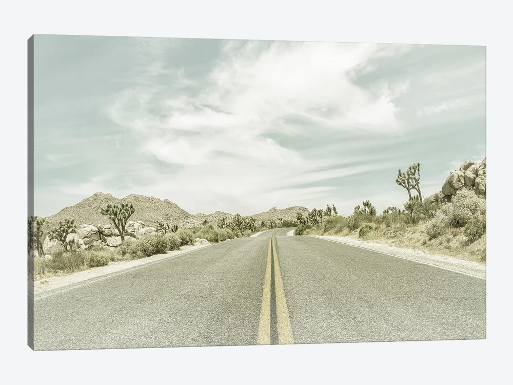 Vintage Joshua Trees And Country Road by Melanie Viola 1-piece Canvas Art Print
