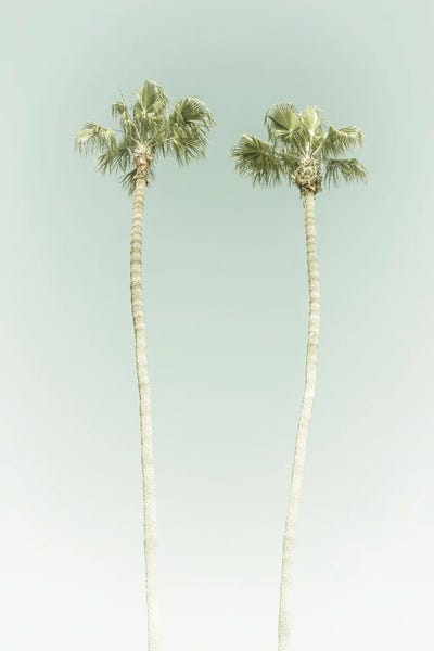 Vintage Palm Trees