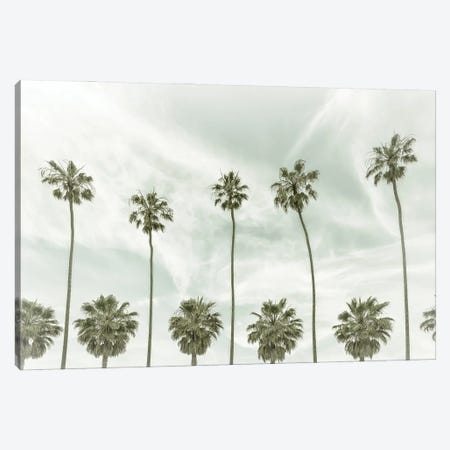 La Jolla Vintage Palm Trees Canvas Print #MEV534} by Melanie Viola Canvas Art Print