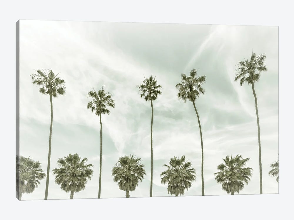 La Jolla Vintage Palm Trees by Melanie Viola 1-piece Canvas Art Print