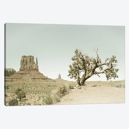 Monument Valley West Mitten Butte And Tree | Vintage Canvas Print #MEV536} by Melanie Viola Canvas Print