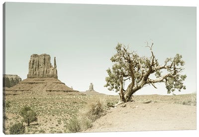 Monument Valley West Mitten Butte And Tree | Vintage Canvas Art Print - Valley Art