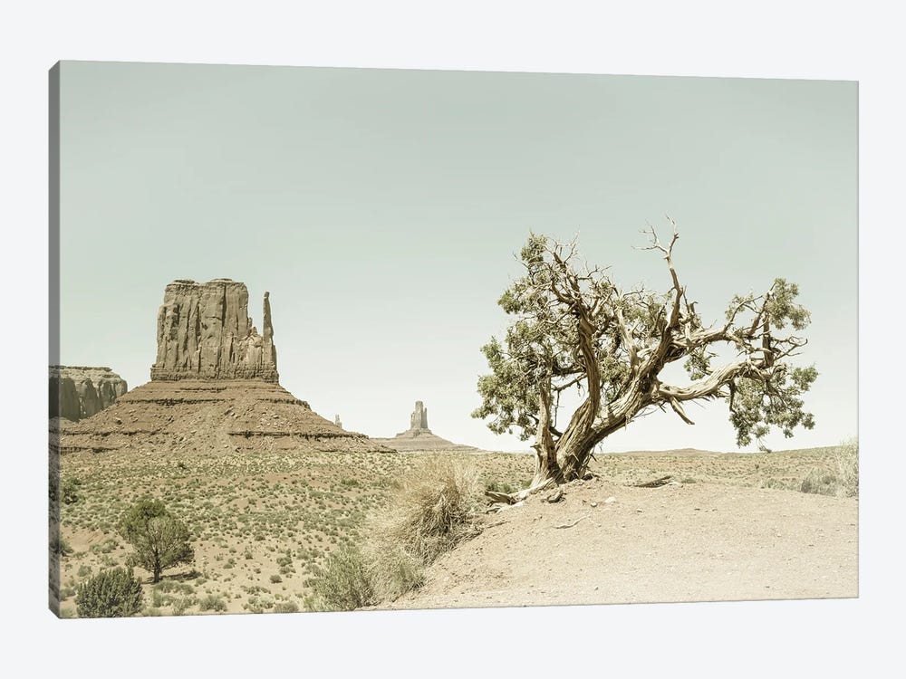 Monument Valley West Mitten Butte And Tree | Vintage by Melanie Viola 1-piece Canvas Print
