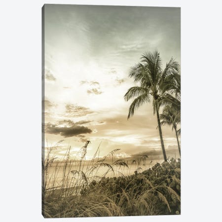 Bonita Beach Bright Sunset | Vintage Canvas Print #MEV537} by Melanie Viola Art Print