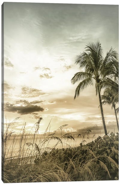 Bonita Beach Bright Sunset | Vintage Canvas Art Print - Palm Tree Art