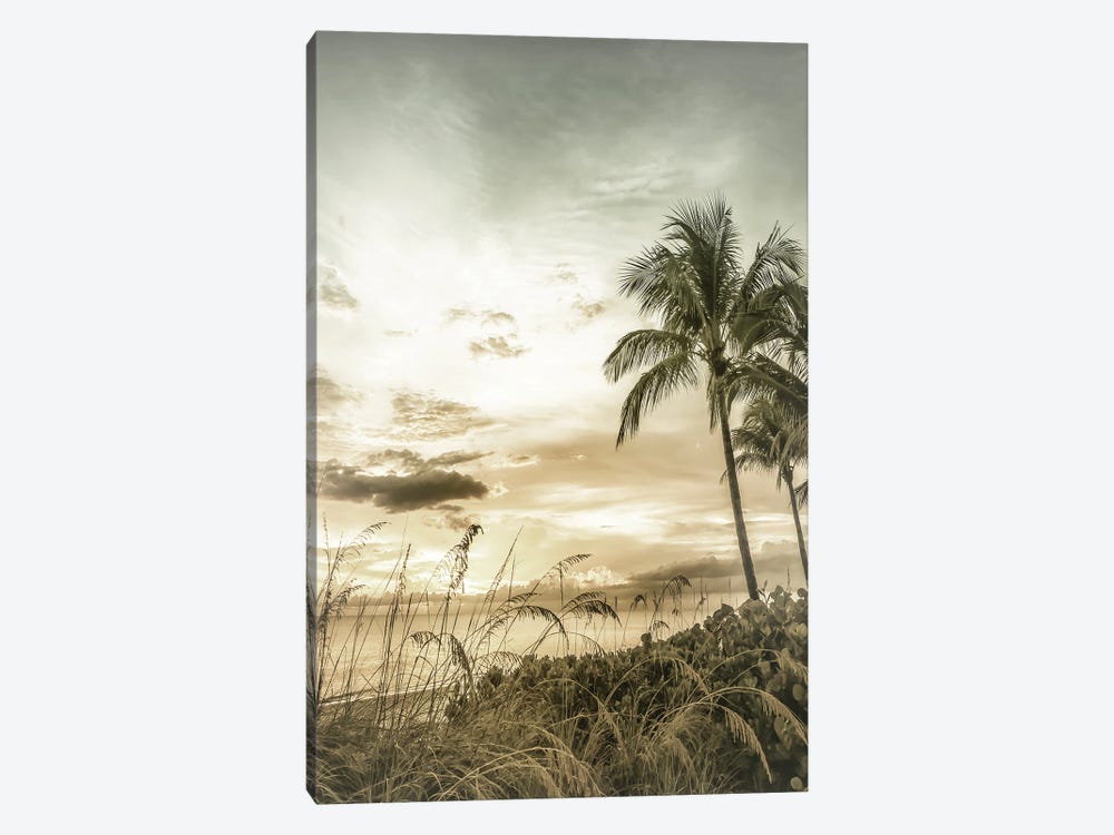 Bonita Beach Bright Sunset | Vintage by Melanie Viola 1-piece Canvas Wall Art