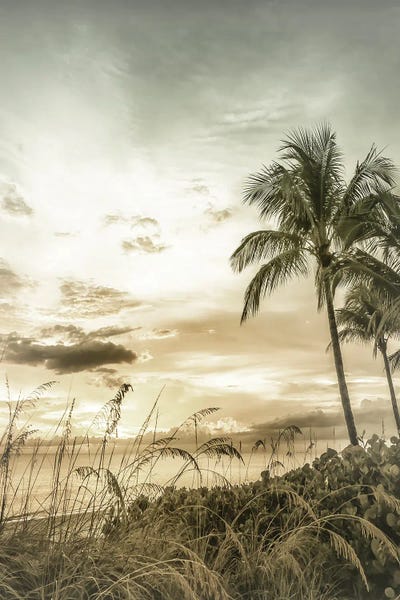 Photography: Bonita Beach Bright Sunset | Vintage by Melanie Viola