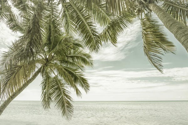 Florida: Florida Oceanview | Vintage by Melanie Viola