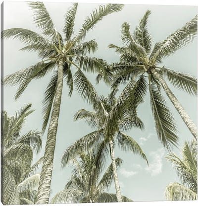 Lovely Palm Trees | Vintage Canvas Art Print - Melanie Viola