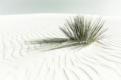 White Sands Dune | Vintage by Melanie Viola acrylic art print