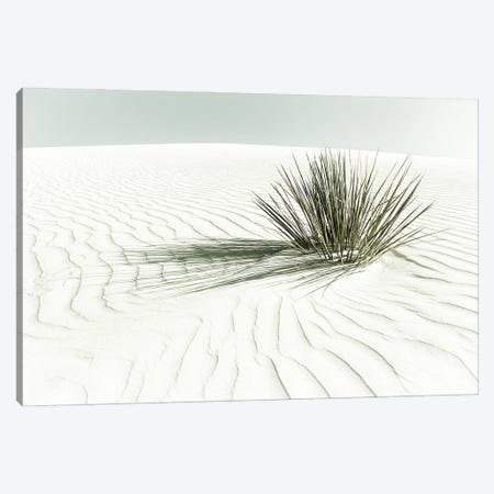 White Sands Dune | Vintage Canvas Print #MEV542} by Melanie Viola Canvas Art Print