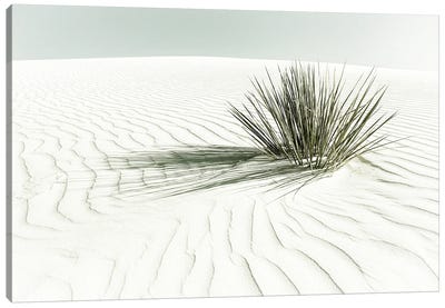 White Sands Dune | Vintage Canvas Art Print - Desert Landscape Photography