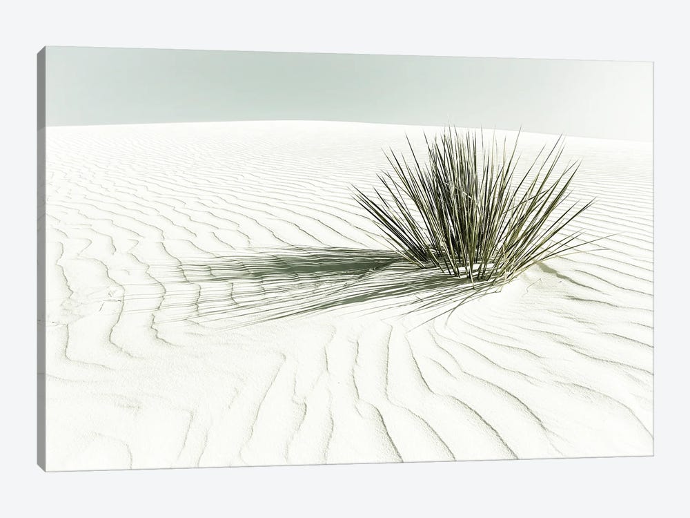 White Sands Dune | Vintage by Melanie Viola 1-piece Canvas Wall Art