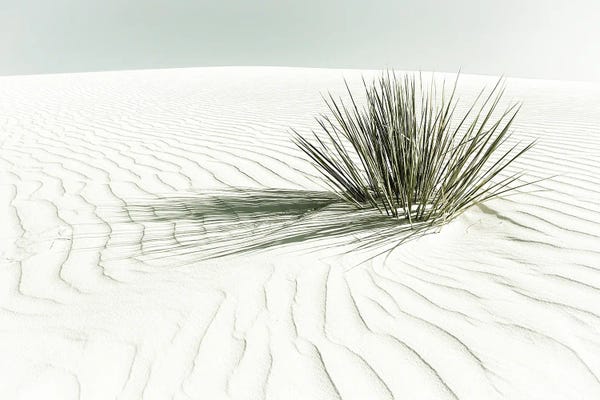 New Mexico: White Sands Dune | Vintage by Melanie Viola