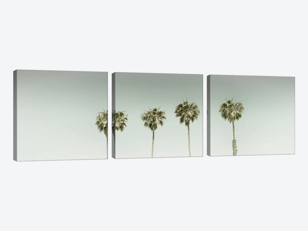 Panoramic Vintage Palm Trees by Melanie Viola 3-piece Canvas Artwork